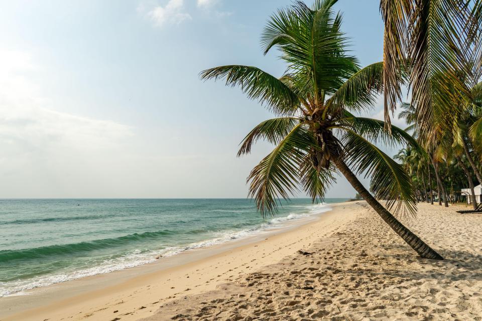 Palm tree leaning over a sandy beach.